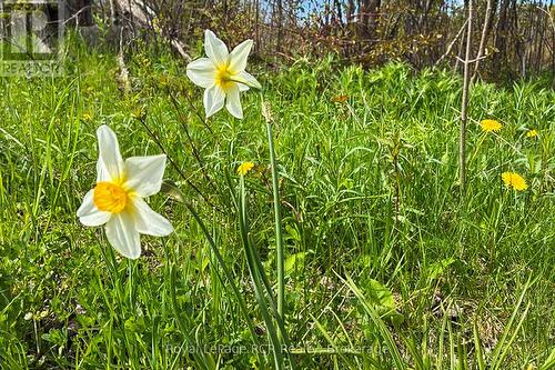 N/A Sutter Road Road W, Northern Bruce Peninsula, ON 