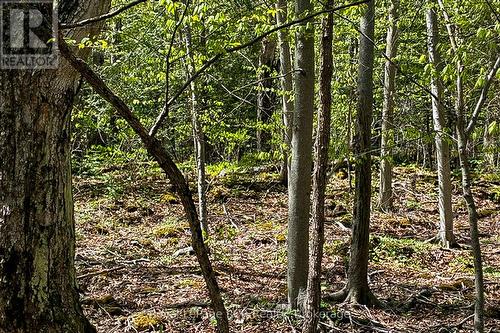 N/A Sutter Road Road W, Northern Bruce Peninsula, ON 