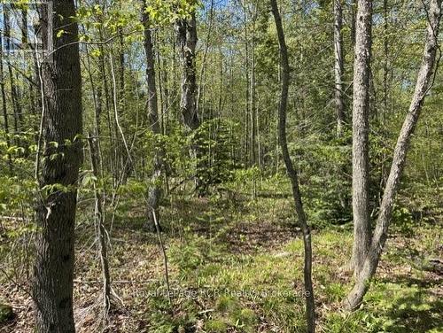 N/A Sutter Road Road W, Northern Bruce Peninsula, ON 