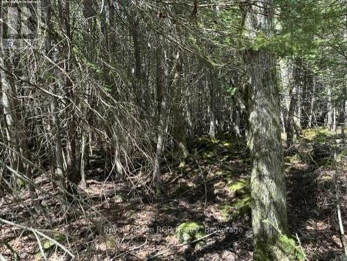 N/A Sutter Road Road W, Northern Bruce Peninsula, ON 