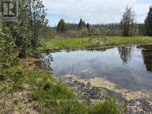 N/A Sutter Road Road W, Northern Bruce Peninsula, ON 