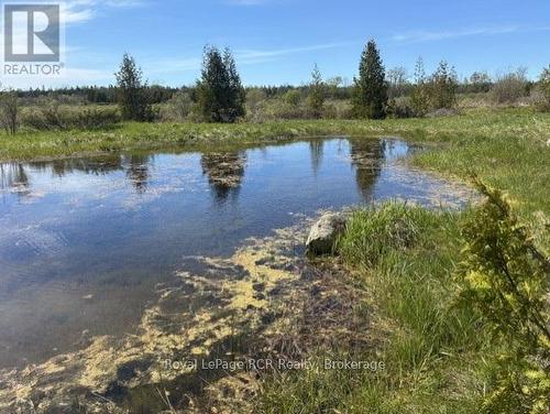 N/A Sutter Road Road W, Northern Bruce Peninsula, ON 