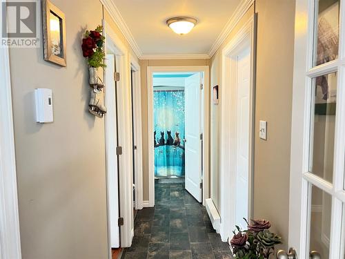 16 Trailer Court, Springdale, NL - Indoor Photo Showing Other Room