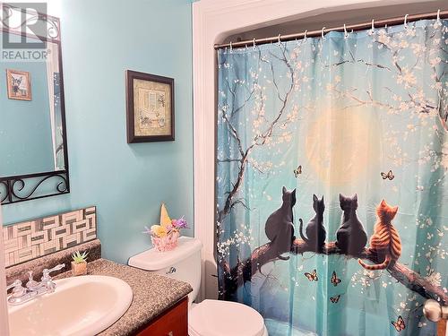 16 Trailer Court, Springdale, NL - Indoor Photo Showing Bathroom