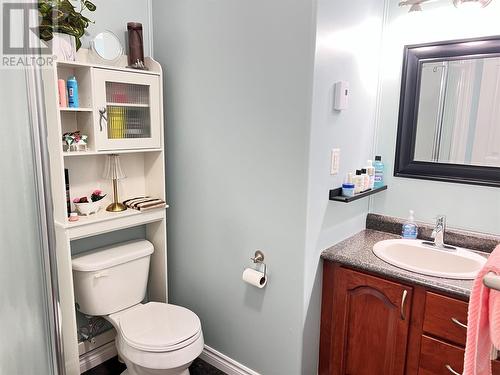 16 Trailer Court, Springdale, NL - Indoor Photo Showing Bathroom