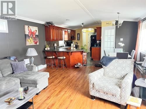 16 Trailer Court, Springdale, NL - Indoor Photo Showing Living Room