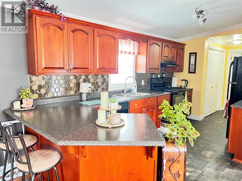 16 Trailer Court, Springdale, NL - Indoor Photo Showing Kitchen