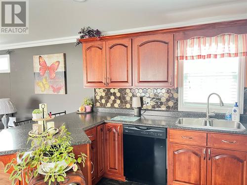 16 Trailer Court, Springdale, NL - Indoor Photo Showing Kitchen With Double Sink