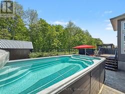 8' x 12' Swim Spa - 