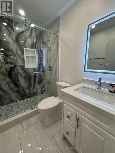 87 Avenue Road, Richmond Hill, ON - Indoor Photo Showing Bathroom