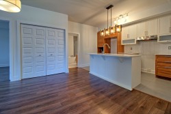 Overall view - 