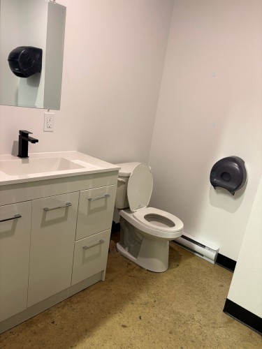 Salle d'eau - 350 Av. Larivière, Rouyn-Noranda, QC - Indoor Photo Showing Bathroom