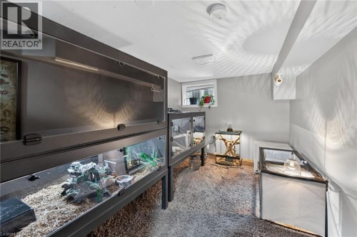 219 Hess Street S, Hamilton, ON - Indoor