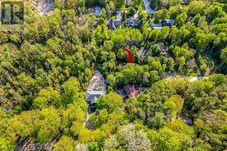 Private Treed Setting - 