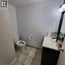 325 Fairview Drive, Brantford, ON  - Indoor Photo Showing Bathroom 