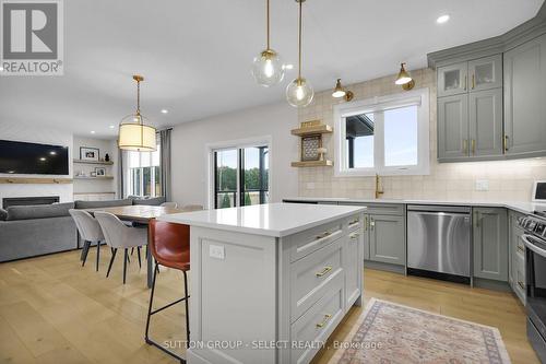 Lot 13 Hardy Drive, Strathroy-Caradoc (Se), ON - Indoor Photo Showing Kitchen With Stainless Steel Kitchen With Upgraded Kitchen