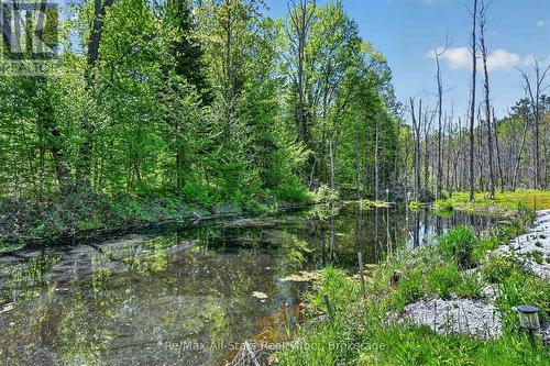 28 Pine Ridge Road, Kawartha Lakes (Norland), ON - Outdoor