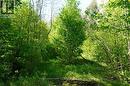 0 Hurdville Road S, Mckellar, ON 