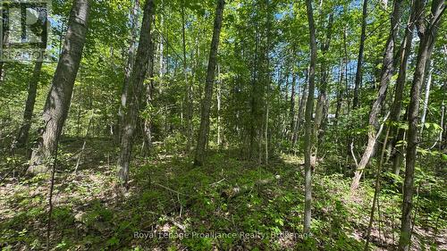 0 Teal Road, Quinte West (Murray Ward), ON 