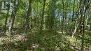 0 Teal Road, Quinte West (Murray Ward), ON 
