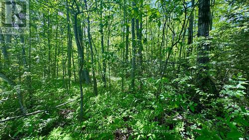0 Teal Road, Quinte West (Murray Ward), ON 