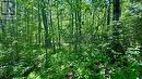 0 Teal Road, Quinte West (Murray Ward), ON 