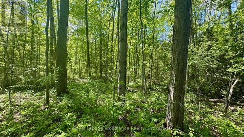 0 Teal Road, Quinte West (Murray Ward), ON 