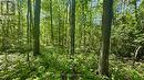 0 Teal Road, Quinte West (Murray Ward), ON 