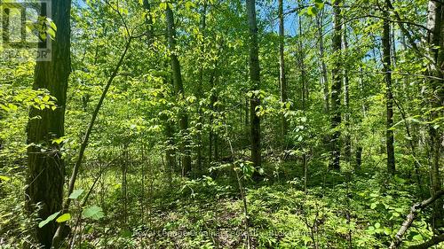 0 Teal Road, Quinte West (Murray Ward), ON 