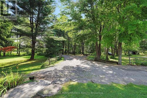 3125 Torwood Drive, Ottawa, ON - Outdoor