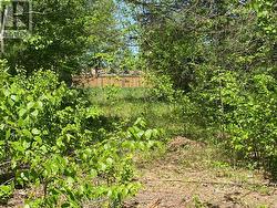 10 JONATHAN COURT N Clearview (Stayner), ON L0M 1S0
