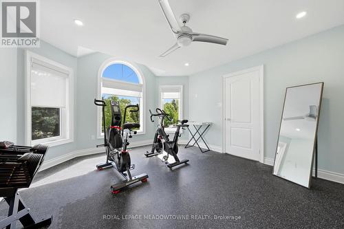 25 Gollop Crescent, Halton Hills, ON - Indoor Photo Showing Gym Room