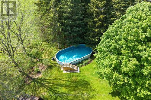 12072 Sixth Line, Halton Hills, ON - Outdoor With Above Ground Pool
