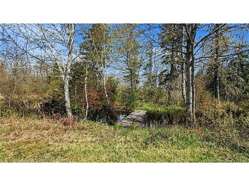 80 Saint Pierre, Rogersville, NB 