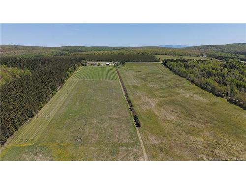 155 Rang 16 Tier Sud Rd, Saint-Quentin, NB 