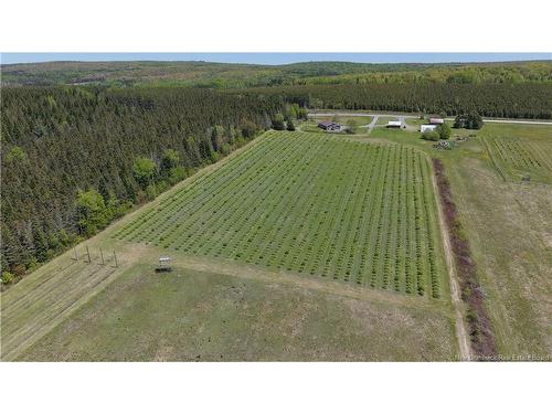 155 Rang 16 Tier Sud Rd, Saint-Quentin, NB 