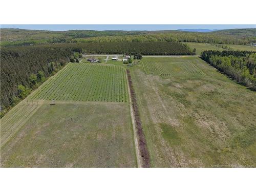 155 Rang 16 Tier Sud Rd, Saint-Quentin, NB 