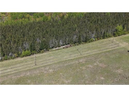 155 Rang 16 Tier Sud Rd, Saint-Quentin, NB 