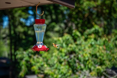 8959 Chemainus Rd, Chemainus, BC 