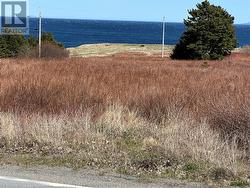 389 Conception Bay Highway Blackhead, NL A0A 1L0
