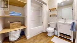 Basement Bathroom - 