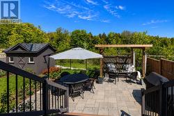 Backyard - 