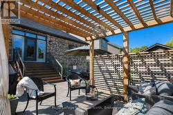 Backyard - 