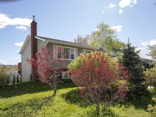 10 Old Birch Road, Dartmouth, NS 