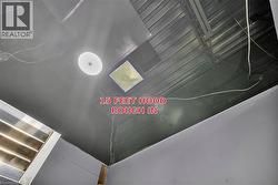 Image quality insufficient for description - 