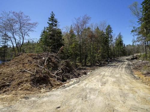 Dp 9 Eagle Road, Gavelton, NS 