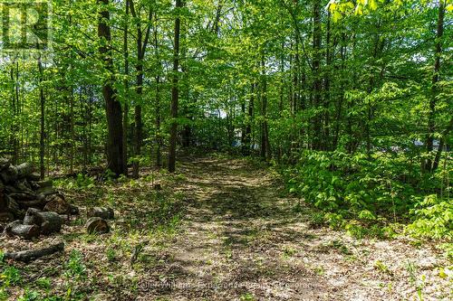 2555 Hodgins Road, Severn, ON - Outdoor