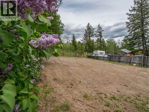 4807 Clarke Avenue, Lac La Hache, BC - Outdoor