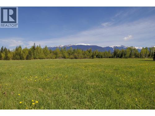 8985 Crescent Spur Road, Mcbride, BC - Outdoor With View