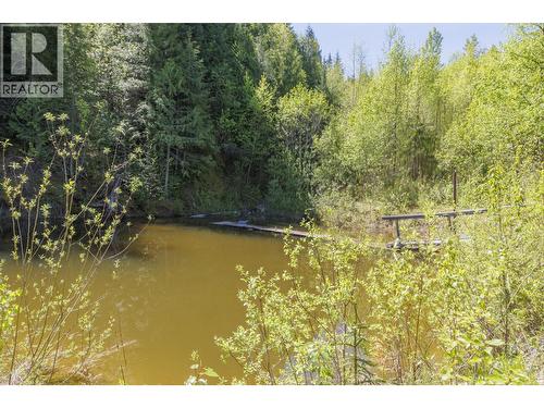 8985 Crescent Spur Road, Mcbride, BC - Outdoor With Body Of Water With View